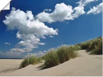 Produktbild von ARTland Poster Himmel, Dünen und Meer Größe: 80x60 cm
