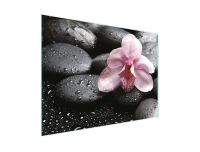 Produktbild von Schneidebrett Herdabdeckplatte Multiglasschneidplatte 30x22 cm Orchidee Rosa
