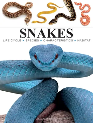 Productafbeelding van Snakes