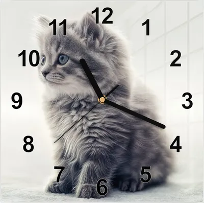 Produktbild von Wanduhr aus Glas mit Motiv Kitten Portrait- 30 x 30 cm - inkl. Aufhängesystem