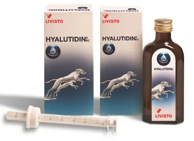 Produktbild von Livisto Hyalutidin DC 2x125 ml | Beweglichkeit bei Hunden & Katzen