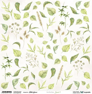 Produktbild von SCRAPandME 30x30cm einseitig Scrapbooking Papier 250g, Leaves 7