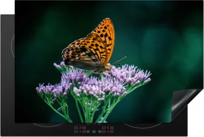 Produktbild von KitchenYeah© Herdabdeckplatte Blumen - Schmetterling - Porträt , 80x52cm, Küche Deko, Glaskeramikkochfeld Herdabdeckung, Abdeckplatte fùr Kochfeld