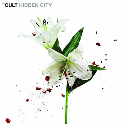 Zdjęcie produktu dla The Cult - Hidden City (Numbered) (2 LP)