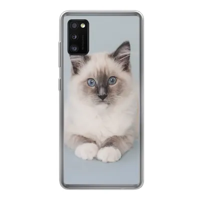 Produktbild von MuchoWow® Handyhülle Schutzhülle Hülle für Samsung Galaxy A41 Katze - Ragdoll Katze - Blau - Mädchen - Kinder - Jungen - Kind Silikon Softcase Handy Hülle - Mobiltelefon
