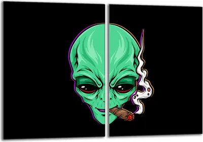 Immagine prodotto di Set di piastre di copertura per piano cottura 2x40x52 cm in Vetroceramica, paraspruzzi in vetro, verde UFO