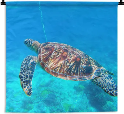 Produktbild von MuchoWow® Wandteppich Wandbehang Meer - Schildkröte - Wasser 150x150 cm Tapisserie Dekoration Wandtuch - Wohnaccessoires - Modernes