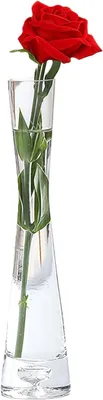 Image de Vase en verre, hauteur 20 cm, design épuré, pour une seule fleur