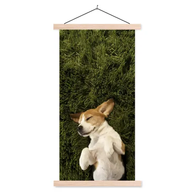 Produktbild von MuchoWow® Textilposter Im Gras schlafender Hund 60x120 cm mit holzfarbenen Rahmen - Holz