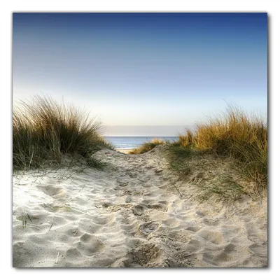 Produktbild von Wallario selbstklebende Möbelfolie/ Tischdecke für Innen und Außen, Größe: 70 x 70 cm - Weg durch die Dünen zum Strand am Meer