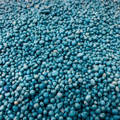 Produktbild von COMPO EXPERT Blaukorn premium 5 kg Profidünger Gartendünger mit Langzeitwirkung
