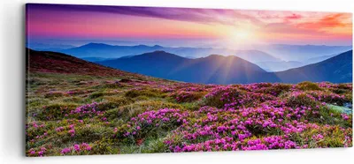 Produktbild von Bild auf Leinwand - Leinwandbild - Wiese Berg Himmel Landschaft - 120x50cm - Wand Bild - Wanddeko - Leinwanddruck - Bilder - Kunstdruck - Wanddekoration - Leinwand bilder - Wandkunst - AB120x50-2719