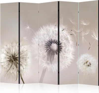 A room divider with a close-up image of dandelions.