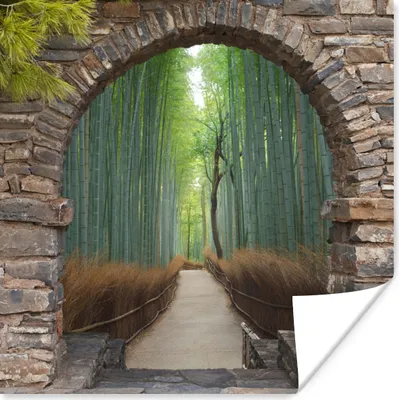 Produktbild von MuchoWow® Poster Bambus - Japanisch - Durchsichtig - Wald 100x100 cm - Babyzimmer
