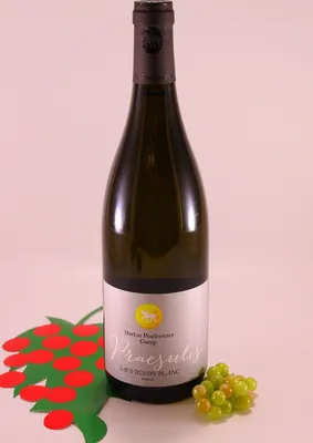 Produktbild von Sauvignon Praesulis - 2023 - Gumphof