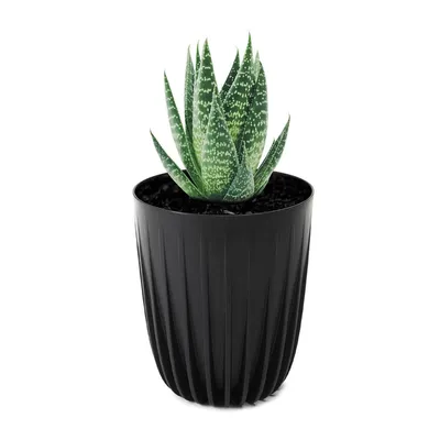 Obrázek produktu pro Lamela | Květináč | Mira | ECO | Černá | 30 cm