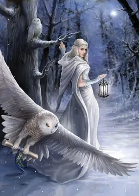 Zdjęcie produktu dla ART PUZZLE Puzzle Collection Anne Stokes: Midnight Messenger 1000 elementów