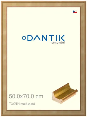 Obrázek produktu pro DANTIK rámeček 50x70 | TOOTH malá zlatá (Plexi Čiré)