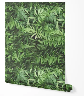 Produktbild von Vliestapete Farn Blätter Dschungel Wald Wohnzimmer 2x2,5 Grün
