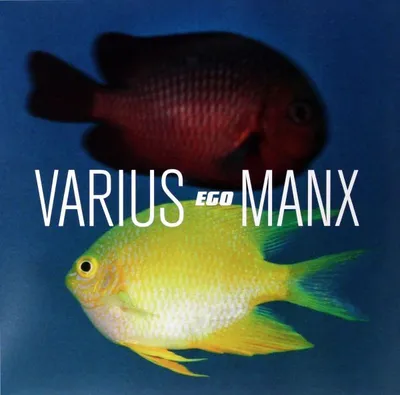 Zdjęcie produktu dla Różne Manx: I