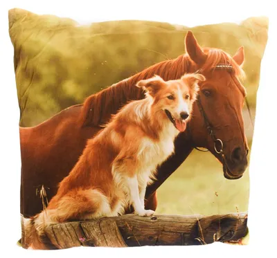 Produktbild von Couchkissen 45 x 45 cm Kuschelkissen mit Tiermotiv & weißer Rückseite