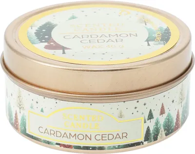 Immagine prodotto di Candela profumata di Natale in barattolo regalo da 6,2 cm, al profumo di cardamomo e cedro