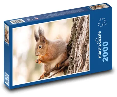 Zdjęcie produktu dla martinpuzzle - Puzzle 2000 - Veverka