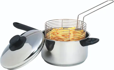 Image de Grande friteuse - induction - inox - 20 cm