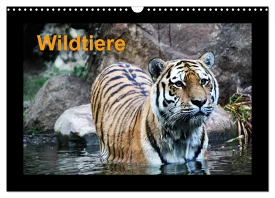 Produktbild von Wildtiere (Wandkalender 2027 DIN A3 quer), CALVENDO Monatskalender
