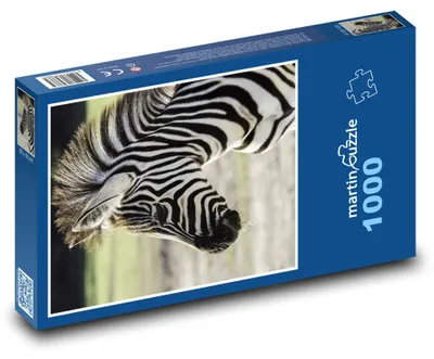 Produktbild von Puzzle 1000 Zebra in der Wildnis - martinpuzzle