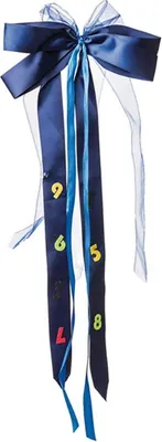 Produktbild von Nestler Schultütenschleife ca. 23 x 50 cm blau/hellblau