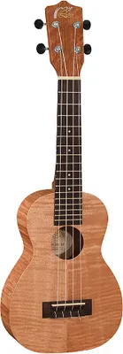 Produktbild von Leho MLUS-XM-NT mit Gig Bag