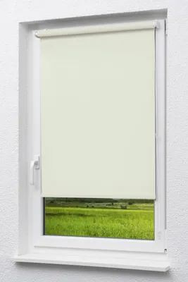 Produktbild von Lysel Outlet - Mini Rollo Tageslicht Rohweiß (B x H) 143cm x 175cm
