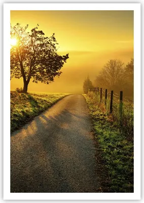 Produktbild von Poster - Poster ohne Rahmen - Feld Straße Baum - 70x100 cm - Wand Bild - Wanddeko - Wandbilder - Kunstposter - Wandposter - Bilder - Kunstdruck - Wanddekoration - Wandbild - P2XPA70x100-3851