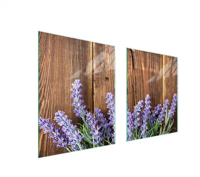 Produktbild von Glasschutzplatte Für Herd 85X52 Lavendel