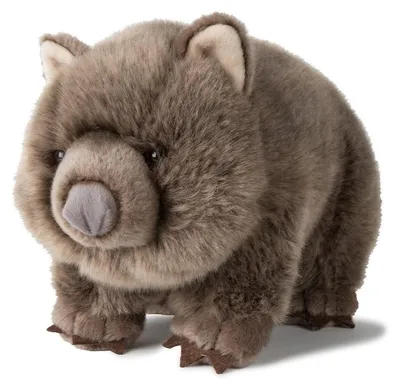 Image de WWF Peluche Wombat (28cm) réaliste Doudou Peluche