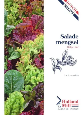 Obrázek produktu pro Holland Mill – Směs salátových listů pro výsev – 1 balení semen