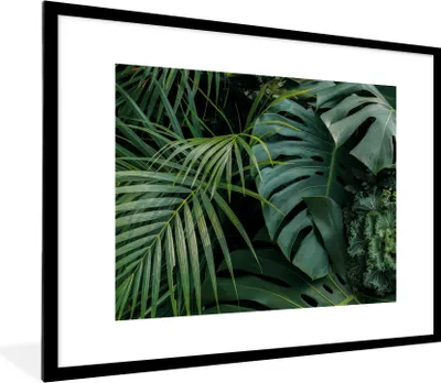 Produktbild von MuchoWow® Gerahmtes Poster Pflanzen - Dschungel - Blätter - Tropisch 80x60 cm - Poster mit Schwarzem Bilderrahmen Wandposter Rahmen Foto Bilder - Schlafzimmer-Dekorationen - Fotoposter