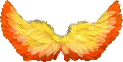 A pair of decorative wings with orange and yellow feathers.