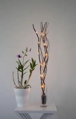 Produktbild von Star Trading 12.584-33, Leichte Dekorationsfigur, Braun, IP20, Braun, 24 Glühbirne(n), LED