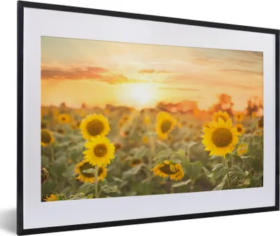 Produktbild von MuchoWow® Gerahmtes Poster Sonnenblume - Sonne - Blumen 60x40 cm - Poster mit Schwarzem Bilderrahmen Wandposter Rahmen Foto Bilder - Schlafzimmer - Plakat in Rahmen - Drucken