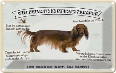 Produktbild von vianmo Blechschild 12x18 cm Tiere Hund ich wohne hier du nicht