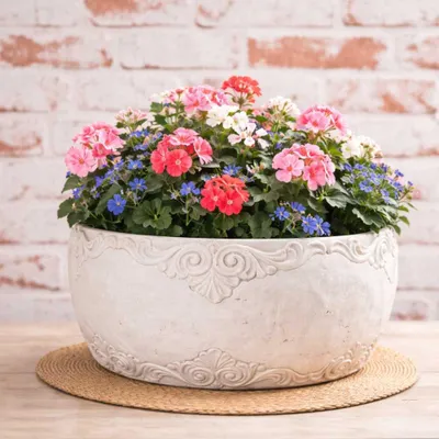 Produktbild von AltoBelli Blumentopf ADELINA Schale Zement Antik Grau Patina 24x12 cm