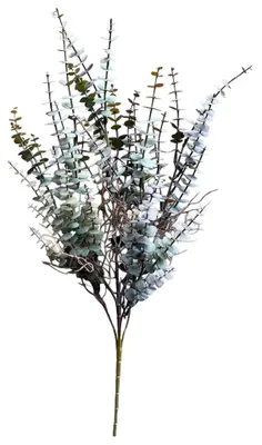 Obrázok produktu pre Roberts Collection umelá vetvička eukalyptu bordová 60 cm