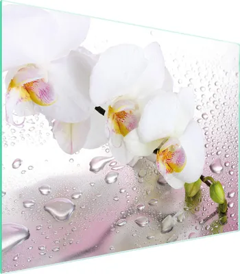 Obrázok produktu pre Sklenená doska na krájanie 52x40 Orchidea