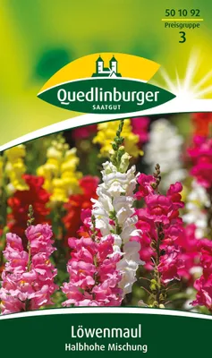 Produktbild von Quedlinburger Saatgut - Löwenmaul halbhohe Mischung - Samen - 501092