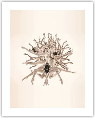Produktbild von Poster - Poster ohne Rahmen - Modern Stück Ballett - 40x50 cm - Wand Bild - Wanddeko - Wandbilder - Kunstposter - Wandposter - Bilder - Kunstdruck - Wanddekoration - Wandbild - P2XPA40x50-4636