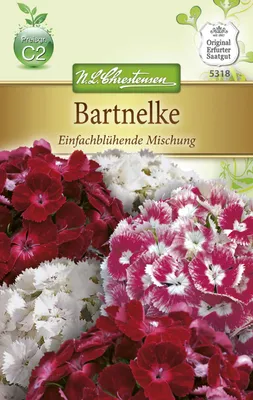 Produktbild von Bartnelken Einfachblüh | Nelkensamen von N.L. Chrestensen