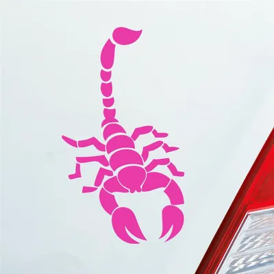 Produktbild von Auto Aufkleber Skorpion Krebs Motorrad Sternzeichen 15x8,5 cm Pink Sticker Heckscheibenaufkleber