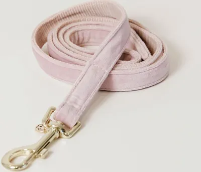 Produktbild von Kentucky Dogwear Velvet Dog Lead Hundeleine 1,2 m